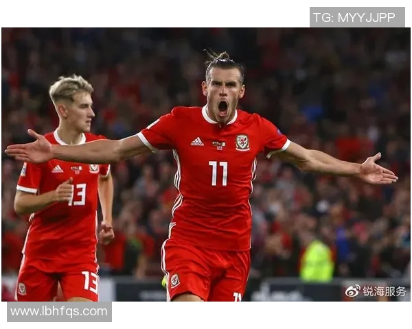 法国与威尔士精彩对决录像回放分析与精彩瞬间回顾